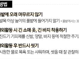 농작업, 야외활동 시 진드기 매개감염병(SFTS) 조심하세요 기사 이미지