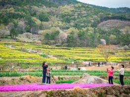 국민쉼터 남해 ‘황홀한 꽃대궐이 펼쳐진다!’  “올 봄, 남해 가 봄?” 기사 이미지