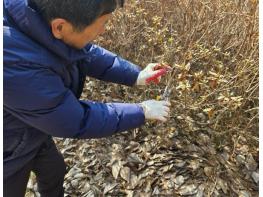 횡성군, 농림지 돌발해충 ‘합동 예찰’ 실시…방제 사각지대 없앤다