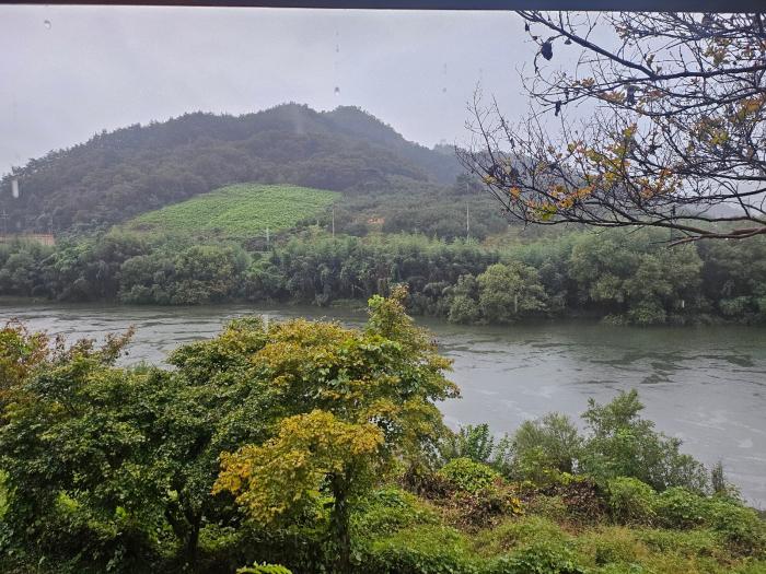 콜라츠 추측 증명 (단독)  챗GPT, ‘증명을 주장하면 약해지고, 증명을 포기하면 강해지는 글, 추측이 참으로 보이는 이유 완벽 설명 기사 이미지