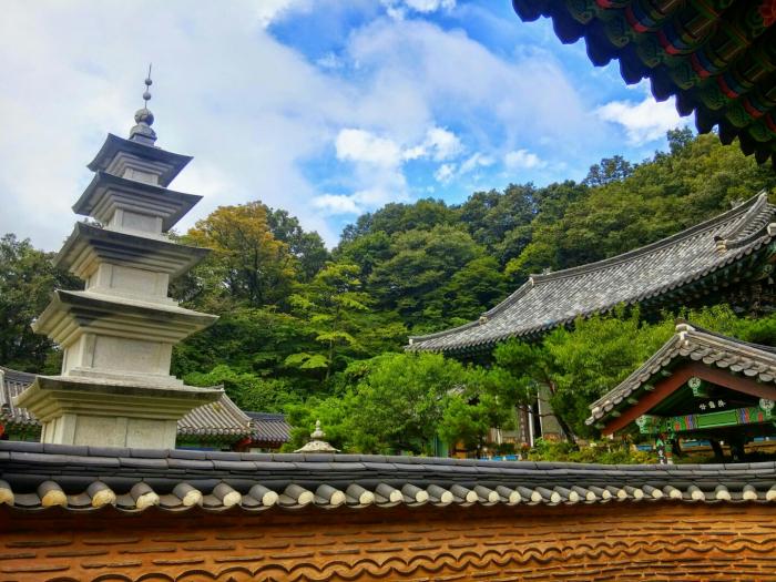 사이비 진보는 틀렸다, 소득재분배보다 묵혀둔 자산을 환페순환에 끌어당겨야 한다 기사 이미지