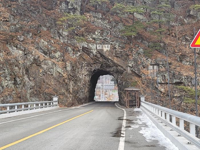 무게는 질량에 비례, 부피와 표면적 등에 반비례한다 챗GPT, 사고를 흔드는 에세이 기사 이미지