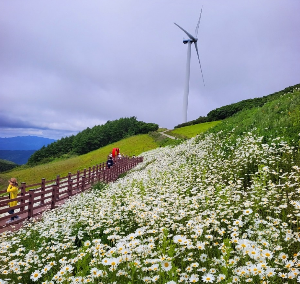 종교 책 읽는 것도 좋지만 그 돈과 시간을 과학이나 수학책 등에 쓴다면