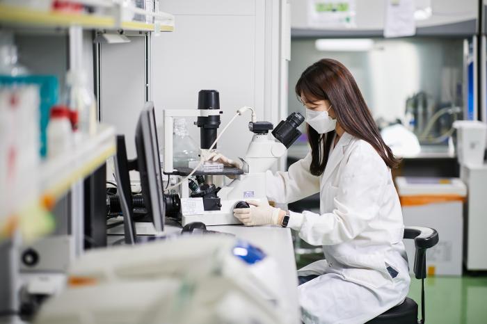 케이메디허브, 꿀 유산균에서 얻은 ‘골 질환 치료물질’ 기술이전
