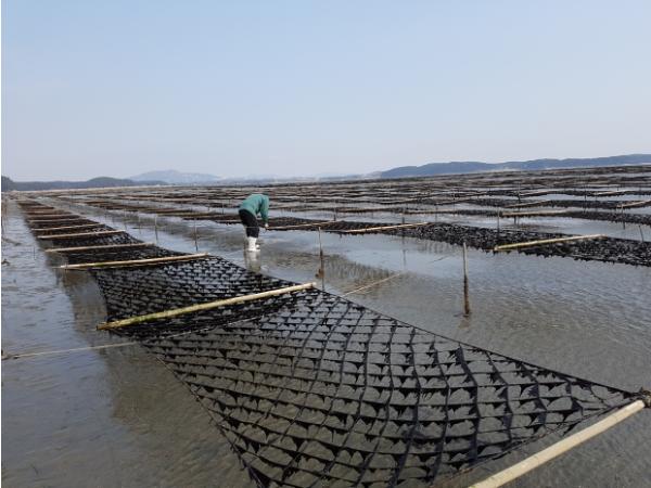 충남도, 탄소 잡는 ‘검은 반도체’ 저감량 밝힌다