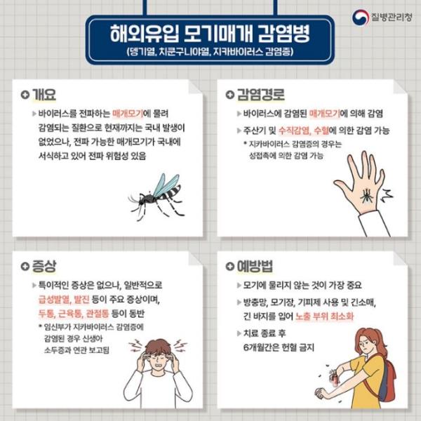 당진시, 뎅기열 무료 확진 검사 시행