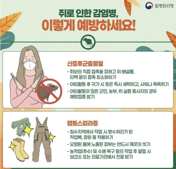 괴산군보건소, 봄철 야외활동 시 '설치류 매개 감염병' 주의 당부