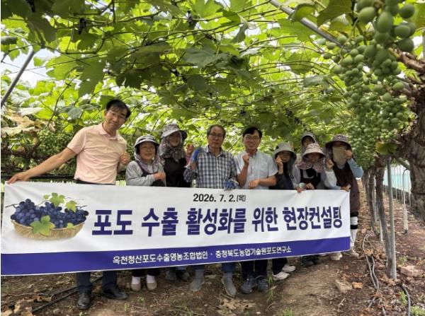 충북 포도, 수출 현장 이상 無… 품질․안전 모두 잡았다