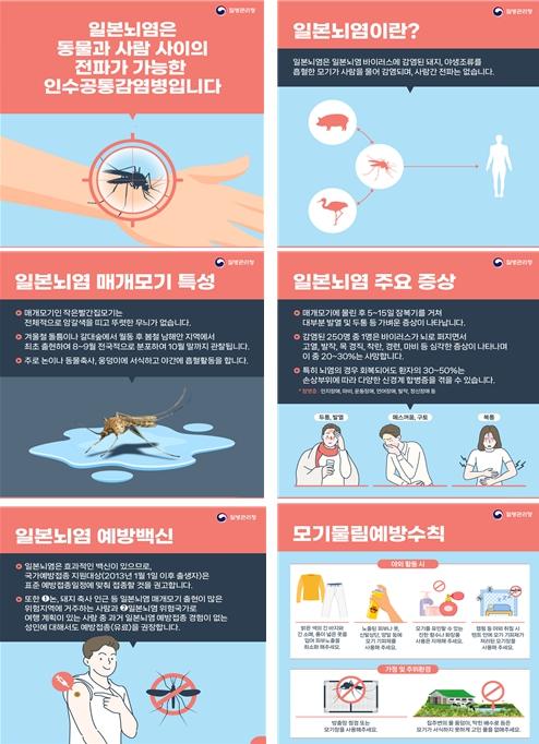 강원도 가을 문턱 모기 활동 급증… “일본뇌염 주의하세요!”