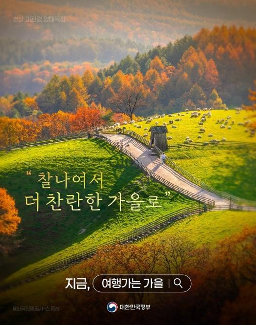 문화체육관광부, 여행비 아끼는 법! 숙박비 최대 7만 원 할인, 가을여행 혜택 모음