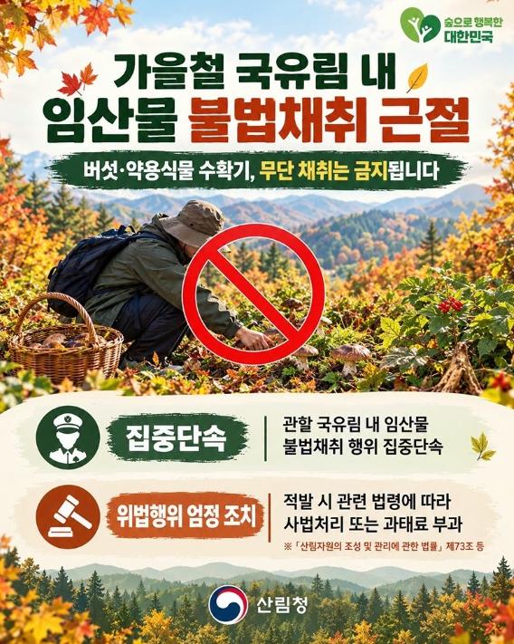 산림청, 가을철 국유림 내 임산물 불법채취 근절